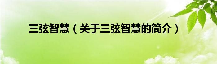 三弦智慧（關(guān)于三弦智慧的簡(jiǎn)介）