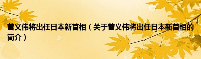 菅義偉將出任日本新首相（關(guān)于菅義偉將出任日本新首相的簡介）