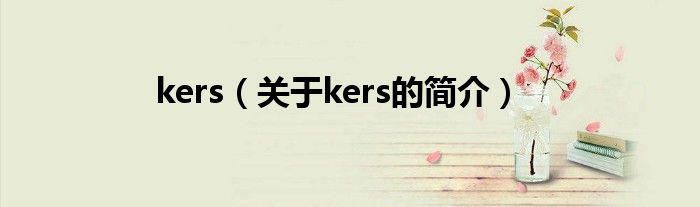 kers（關(guān)于kers的簡介）