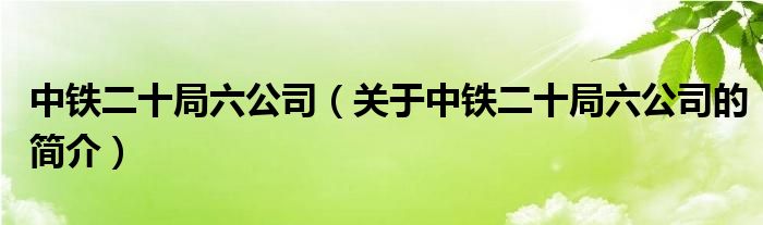 中鐵二十局六公司（關(guān)于中鐵二十局六公司的簡(jiǎn)介）