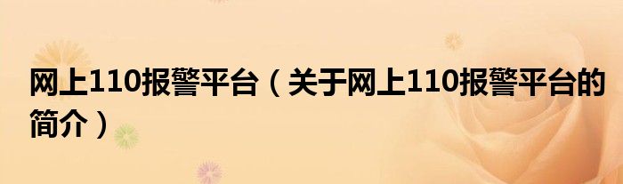 網(wǎng)上110報(bào)警平臺(tái)（關(guān)于網(wǎng)上110報(bào)警平臺(tái)的簡介）