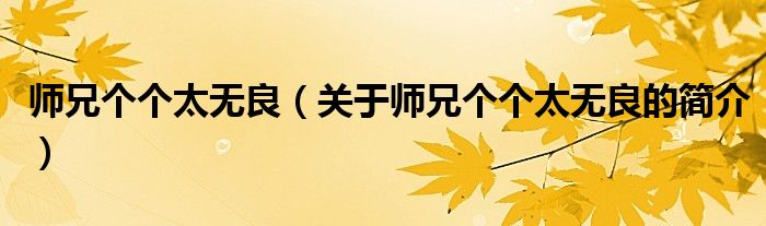 師兄個(gè)個(gè)太無良（關(guān)于師兄個(gè)個(gè)太無良的簡介）