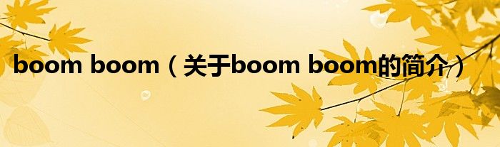 boom boom（關(guān)于boom boom的簡介）