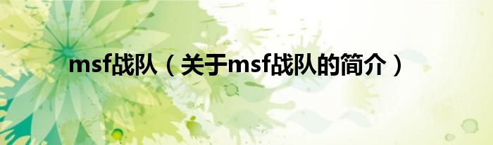 msf戰(zhàn)隊(duì)（關(guān)于msf戰(zhàn)隊(duì)的簡介）