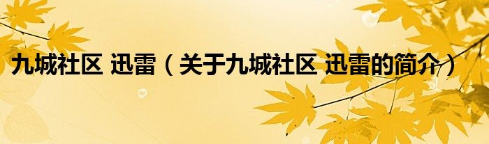 九城社區(qū) 迅雷（關(guān)于九城社區(qū) 迅雷的簡介）