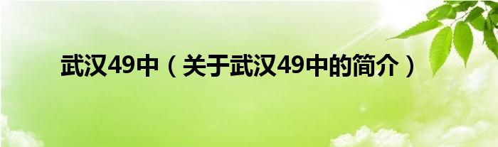 武漢49中（關(guān)于武漢49中的簡介）