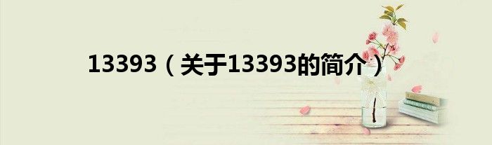 13393（關于13393的簡介）