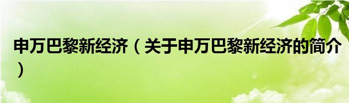 申萬巴黎新經(jīng)濟（關于申萬巴黎新經(jīng)濟的簡介）