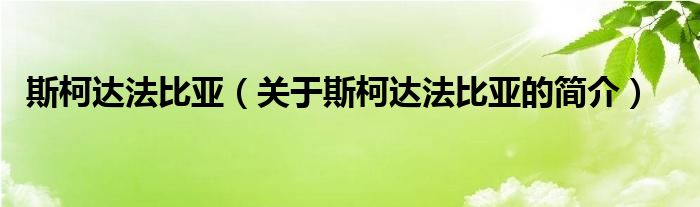 斯柯達(dá)法比亞（關(guān)于斯柯達(dá)法比亞的簡介）