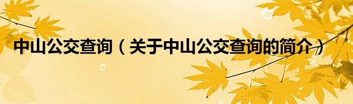 中山公交查詢(xún)（關(guān)于中山公交查詢(xún)的簡(jiǎn)介）