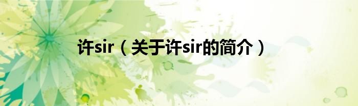 許sir（關(guān)于許sir的簡介）