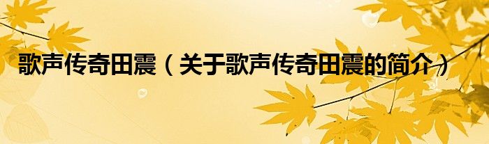 歌聲傳奇田震（關(guān)于歌聲傳奇田震的簡介）