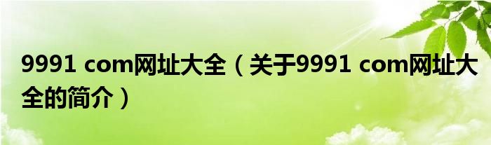 9991 com網(wǎng)址大全（關(guān)于9991 com網(wǎng)址大全的簡(jiǎn)介）