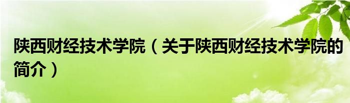 陜西財(cái)經(jīng)技術(shù)學(xué)院（關(guān)于陜西財(cái)經(jīng)技術(shù)學(xué)院的簡介）