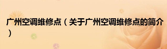 廣州空調(diào)維修點(diǎn)（關(guān)于廣州空調(diào)維修點(diǎn)的簡介）