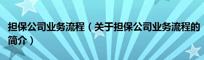 擔保公司業(yè)務流程（關于擔保公司業(yè)務流程的簡介）