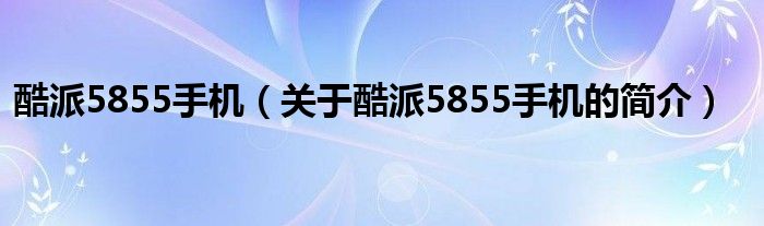 酷派5855手機（關于酷派5855手機的簡介）