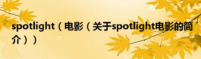 spotlight（電影（關(guān)于spotlight電影的簡介））