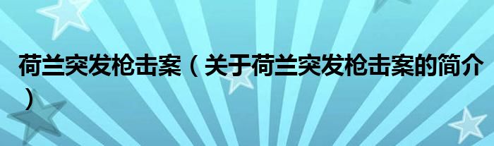 荷蘭突發(fā)槍擊案（關于荷蘭突發(fā)槍擊案的簡介）