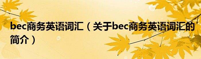 bec商務(wù)英語(yǔ)詞匯（關(guān)于bec商務(wù)英語(yǔ)詞匯的簡(jiǎn)介）