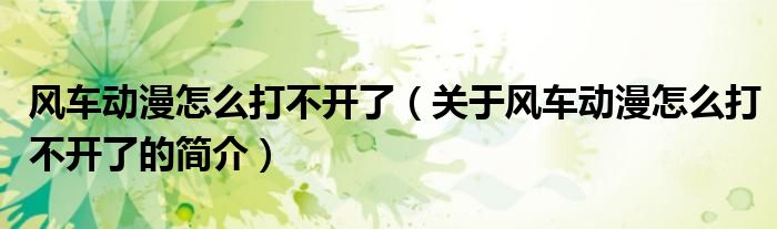 風(fēng)車動漫怎么打不開了（關(guān)于風(fēng)車動漫怎么打不開了的簡介）