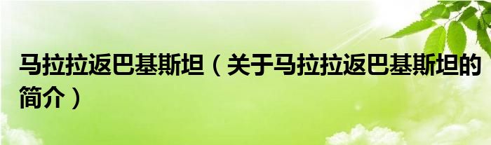 馬拉拉返巴基斯坦（關(guān)于馬拉拉返巴基斯坦的簡介）