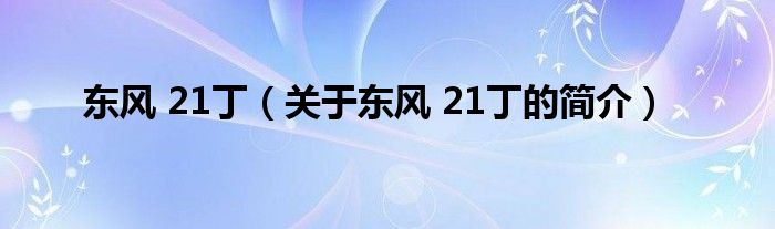 東風(fēng) 21?。P(guān)于東風(fēng) 21丁的簡(jiǎn)介）