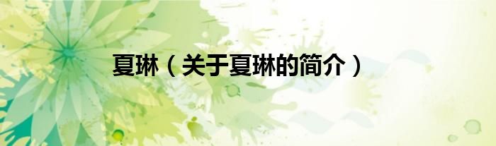 夏琳（關(guān)于夏琳的簡(jiǎn)介）