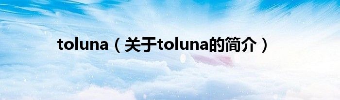 toluna（關(guān)于toluna的簡介）