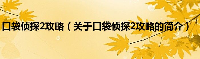 口袋偵探2攻略（關于口袋偵探2攻略的簡介）