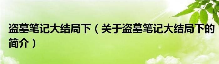 盜墓筆記大結局下（關于盜墓筆記大結局下的簡介）