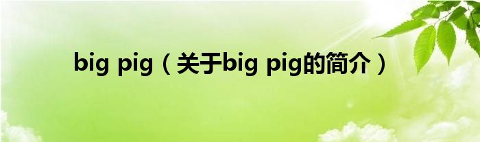 big pig（關(guān)于big pig的簡介）