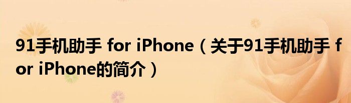 91手機(jī)助手 for iPhone（關(guān)于91手機(jī)助手 for iPhone的簡(jiǎn)介）