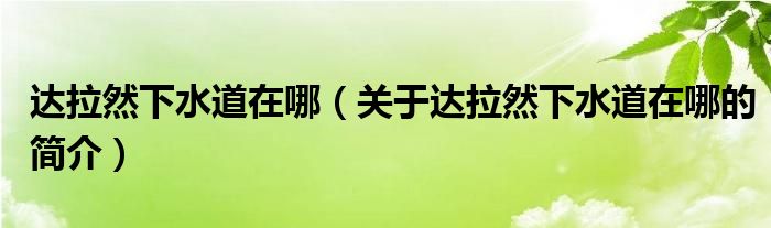 達(dá)拉然下水道在哪（關(guān)于達(dá)拉然下水道在哪的簡(jiǎn)介）