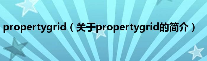 propertygrid（關(guān)于propertygrid的簡(jiǎn)介）