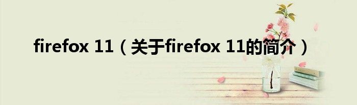 firefox 11（關(guān)于firefox 11的簡(jiǎn)介）