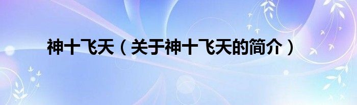 神十飛天（關(guān)于神十飛天的簡(jiǎn)介）