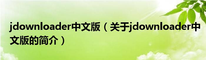 jdownloader中文版（關(guān)于jdownloader中文版的簡(jiǎn)介）