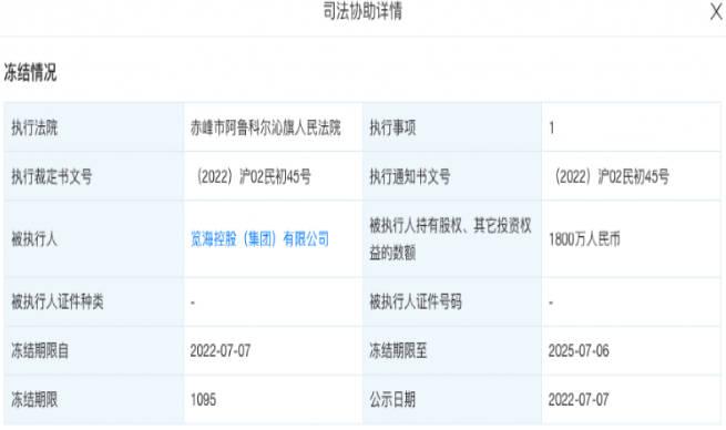 娛樂圈老公接連出事，董卿老公被強(qiáng)制執(zhí)行4億？