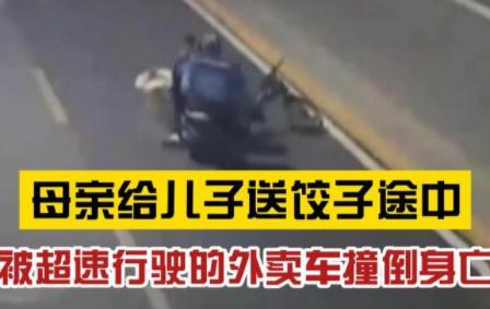 母親給兒子送餃子途中被撞身亡