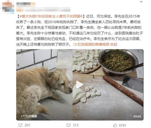 7年后失蹤的愛犬回家，主人感動(dòng)不已