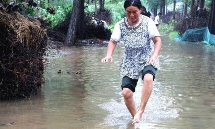 山西運(yùn)城暴雨過后市民撈魚引發(fā)關(guān)注，經(jīng)濟(jì)利益與樂趣并存