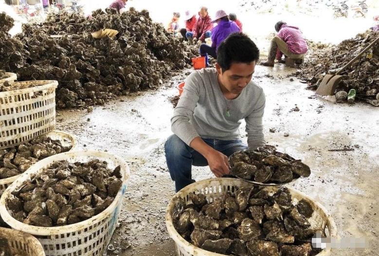 深圳玉海灣沙灘掀起海鮮熱潮：臺(tái)風(fēng)