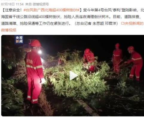 臺風泰利襲擊廣西北海，超400棵樹倒伏，搶險人員緊急清理工作展開