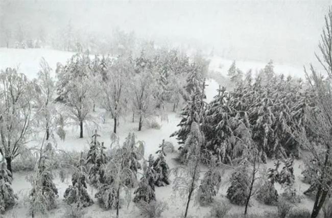 內(nèi)蒙古多倫縣突降大雪，交通受阻學(xué)校停課，氣象部門發(fā)布結(jié)冰預(yù)警